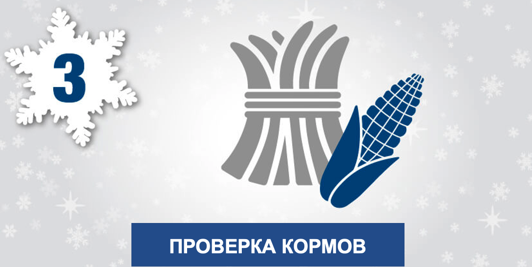 Проверка кормов