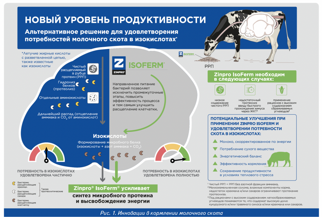 Инновации в кормлении крс