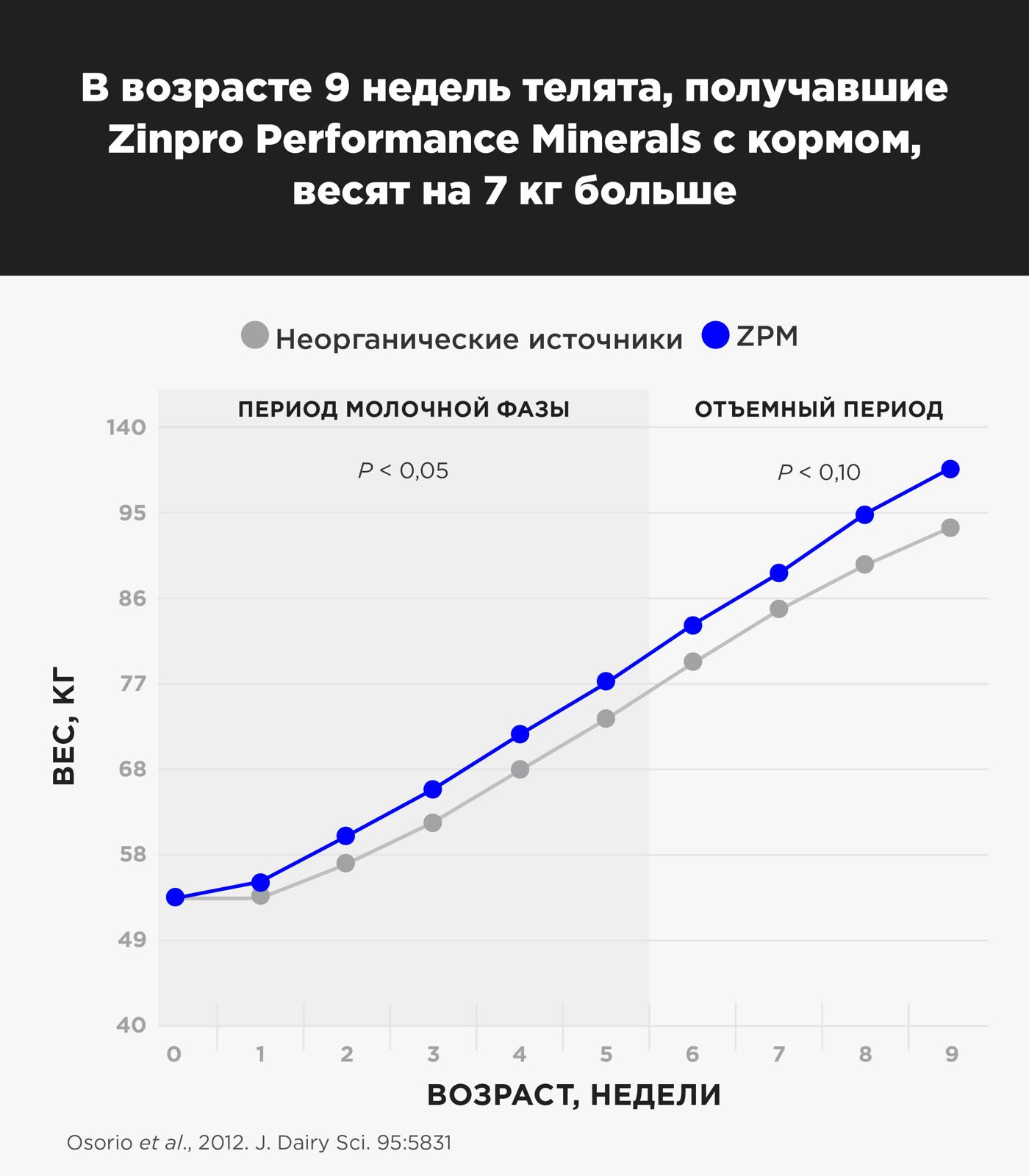 Привес телят, получавших с кормом аминокислотные комплексы Zinpro